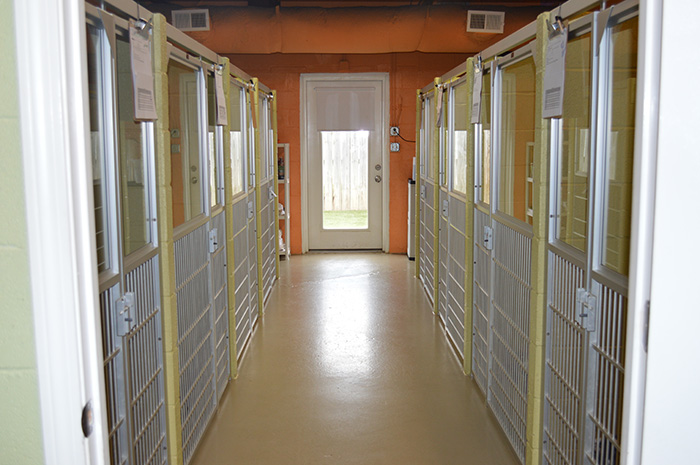kennels